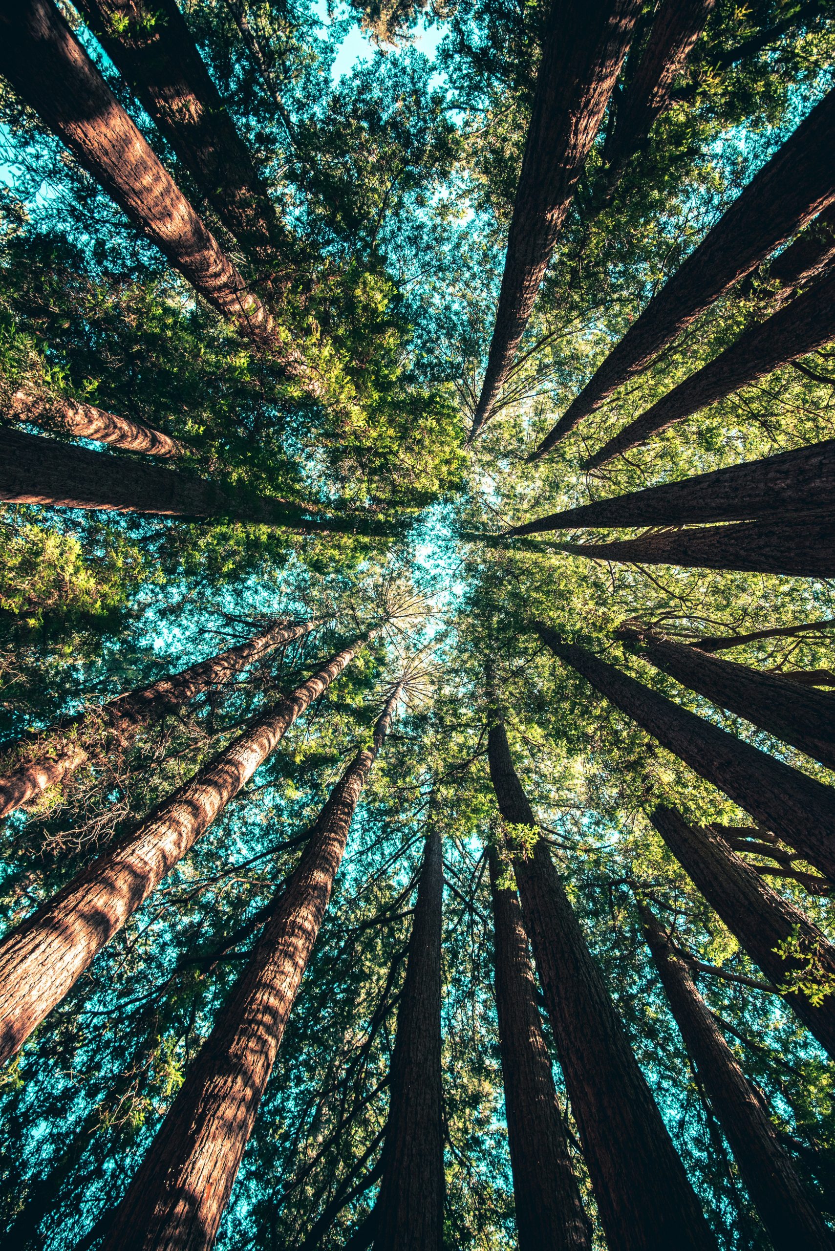 Principles that drive us